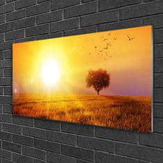 tulup.si Slika na akrilnem steklu Sunset meadow ptice 120x60 cm 4 obešalnika