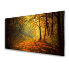 tulup.si Slika na akrilnem steklu Forest lane drevesa narava 120x60 cm 4 obešalnika