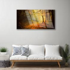 tulup.si Slika na akrilnem steklu Forest lane drevesa narava 120x60 cm 4 obešalnika