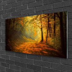 tulup.si Slika na akrilnem steklu Forest lane drevesa narava 120x60 cm 4 obešalnika