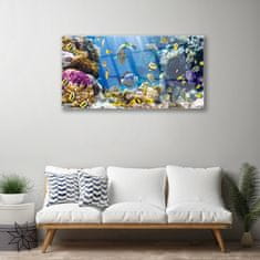 tulup.si Slika na akrilnem steklu Barrier reef narava 100x50 cm 2 obešalnika