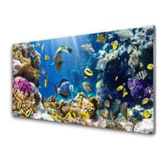 tulup.si Slika na akrilnem steklu Barrier reef narava 100x50 cm 2 obešalnika