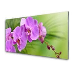 tulup.si Zidna obloga za kuhinju Orhideja orhideje 100x50 cm