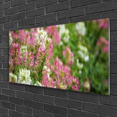 tulup.si Slika na akrilnem steklu Cvetje wildflowers travnik narava 100x50 cm 2 obešalnika