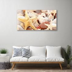 tulup.si Slika na akrilnem steklu Starfish školjke beach 100x50 cm 4 obešalnika