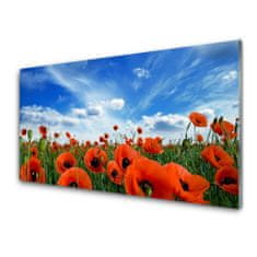 tulup.si Slika na akrilnem steklu Travnik poppies cvetje 100x50 cm 4 obešalnika