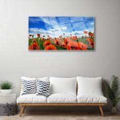 tulup.si Slika na akrilnem steklu Travnik poppies cvetje 100x50 cm 4 obešalnika