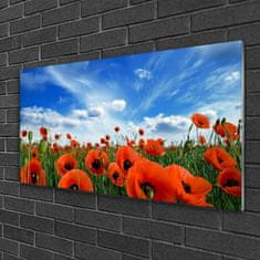 tulup.si Slika na akrilnem steklu Travnik poppies cvetje 100x50 cm 4 obešalnika