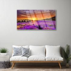 tulup.si Slika na akrilnem steklu Sunset lavender polje 100x50 cm 2 obešalnika