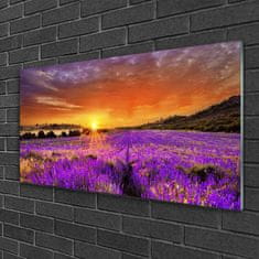 tulup.si Slika na akrilnem steklu Sunset lavender polje 100x50 cm 2 obešalnika