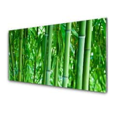 tulup.si Slika na akrilnem steklu Bamboo stem rastlin 100x50 cm 2 obešalnika