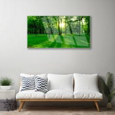 tulup.si Slika na akrilnem steklu Forest park nature 120x60 cm 2 obešalnika