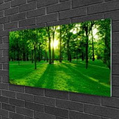 tulup.si Slika na akrilnem steklu Forest park nature 120x60 cm 2 obešalnika