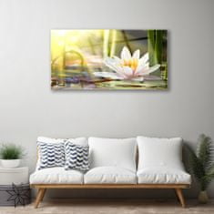 tulup.si Slika na steklu Flower water lily 100x50 cm 2 obešalnika