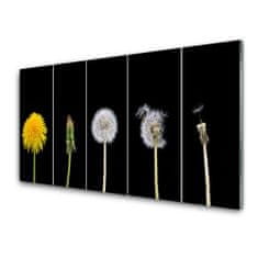 tulup.si Slika na akrilnem steklu Dandelion rastlin 140x70 cm 4 obešalnika