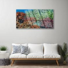 tulup.si Slika na akrilnem steklu Barrier reef narava 100x50 cm 2 obešalnika