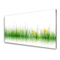 tulup.si Slika na akrilnem steklu Narava grass flowers 100x50 cm 4 obešalnika