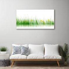 tulup.si Slika na akrilnem steklu Narava grass flowers 100x50 cm 4 obešalnika