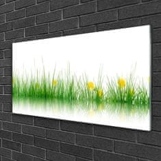 tulup.si Slika na akrilnem steklu Narava grass flowers 100x50 cm 4 obešalnika