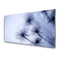 tulup.si Slika na akrilnem steklu Dandelion rastlin 120x60 cm 2 obešalnika