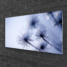 tulup.si Slika na akrilnem steklu Dandelion rastlin 120x60 cm 2 obešalnika