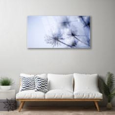 tulup.si Slika na akrilnem steklu Dandelion rastlin 120x60 cm 2 obešalnika