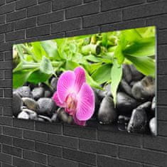 tulup.si Slika na akrilnem steklu Orchid cvetje rastlin 120x60 cm 2 obešalnika