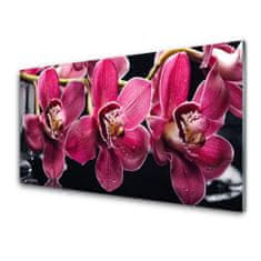 tulup.si Slika na akrilnem steklu Orchid rože narava poganjki 120x60 cm 4 obešalnika