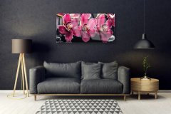 tulup.si Slika na akrilnem steklu Orchid rože narava poganjki 120x60 cm 4 obešalnika