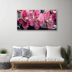 tulup.si Slika na akrilnem steklu Orchid rože narava poganjki 120x60 cm 4 obešalnika