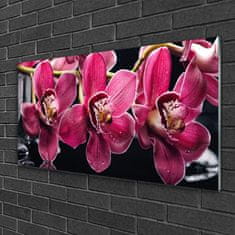 tulup.si Slika na akrilnem steklu Orchid rože narava poganjki 120x60 cm 4 obešalnika