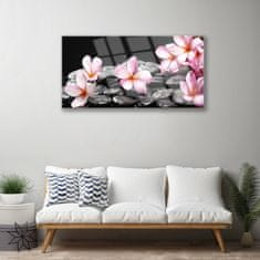 tulup.si Slika na akrilnem steklu Plumeria cvet na zidu 120x60 cm 4 obešalnika