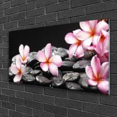 tulup.si Slika na akrilnem steklu Plumeria cvet na zidu 120x60 cm 4 obešalnika