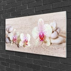 tulup.si Slika na akrilnem steklu Orchid orchid sand 100x50 cm 2 obešalnika