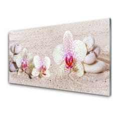 tulup.si Slika na akrilnem steklu Orchid orchid sand 100x50 cm 2 obešalnika