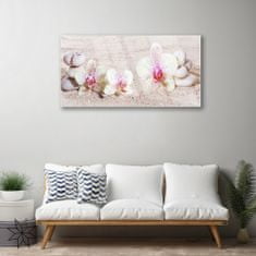 tulup.si Slika na akrilnem steklu Orchid orchid sand 100x50 cm 2 obešalnika