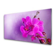 tulup.si Slika na akrilnem steklu Orchid latice cvetje 100x50 cm 2 obešalnika