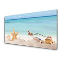 tulup.si Slika na akrilnem steklu Starfish školjke beach 125x50 cm 2 obešalnika