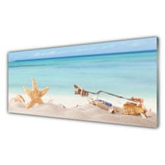 tulup.si Slika na akrilnem steklu Starfish školjke beach 125x50 cm 2 obešalnika