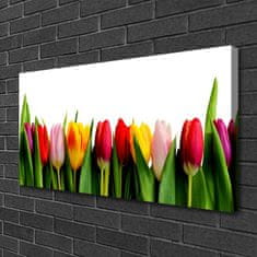 tulup.si Slika na platnu Rastlin tulipani 100x50 cm