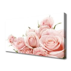 tulup.si Slika na platnu Roses flowers rastlin 100x50 cm