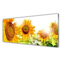 tulup.si Slika na akrilnem steklu Sončnica flower rastlin 125x50 cm 2 obešalnika