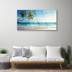 tulup.si Slika na akrilnem steklu Seaside palm beach landscape 120x60 cm 4 obešalnika