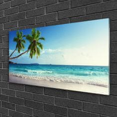 tulup.si Slika na akrilnem steklu Seaside palm beach landscape 120x60 cm 4 obešalnika