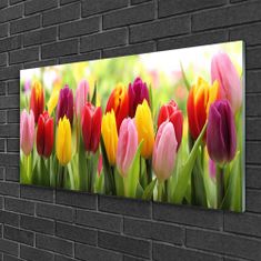 tulup.si Slika na akrilnem steklu Tulipani rože narava 120x60 cm 2 obešalnika