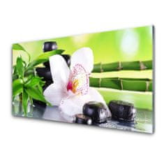 tulup.si Slika na akrilnem steklu Orchid bamboo listi 100x50 cm 2 obešalnika