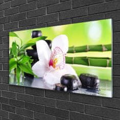 tulup.si Slika na akrilnem steklu Orchid bamboo listi 100x50 cm 2 obešalnika