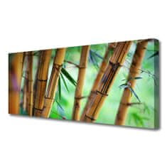 tulup.si Slika na platnu Narava bamboo rastlin 120x60 cm