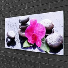 tulup.si Slika na steklu Orchid flower art 125x50 cm 2 obešalnika