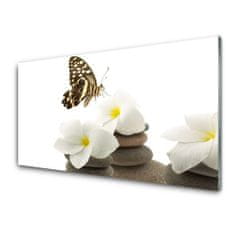 tulup.si Slika na akrilnem steklu Butterfly flower rastlin stones 100x50 cm 2 obešalnika